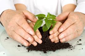 Educación y cultura ambiental